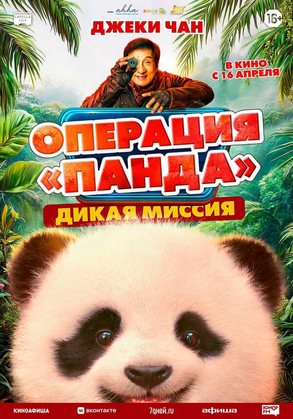 Операция «Панда». Дикая миссия